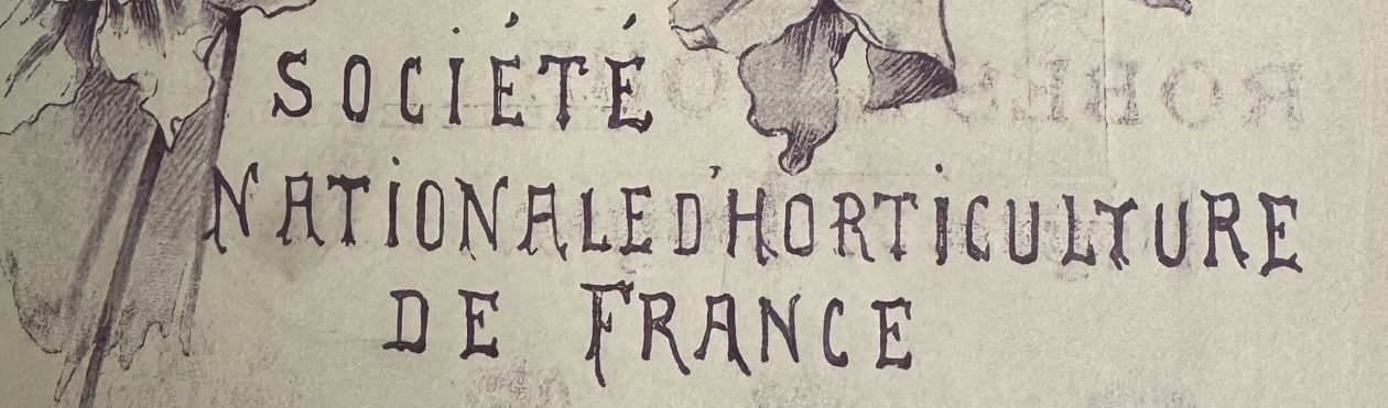 Mathilde Delattre (1871-1950) artiste-peintre